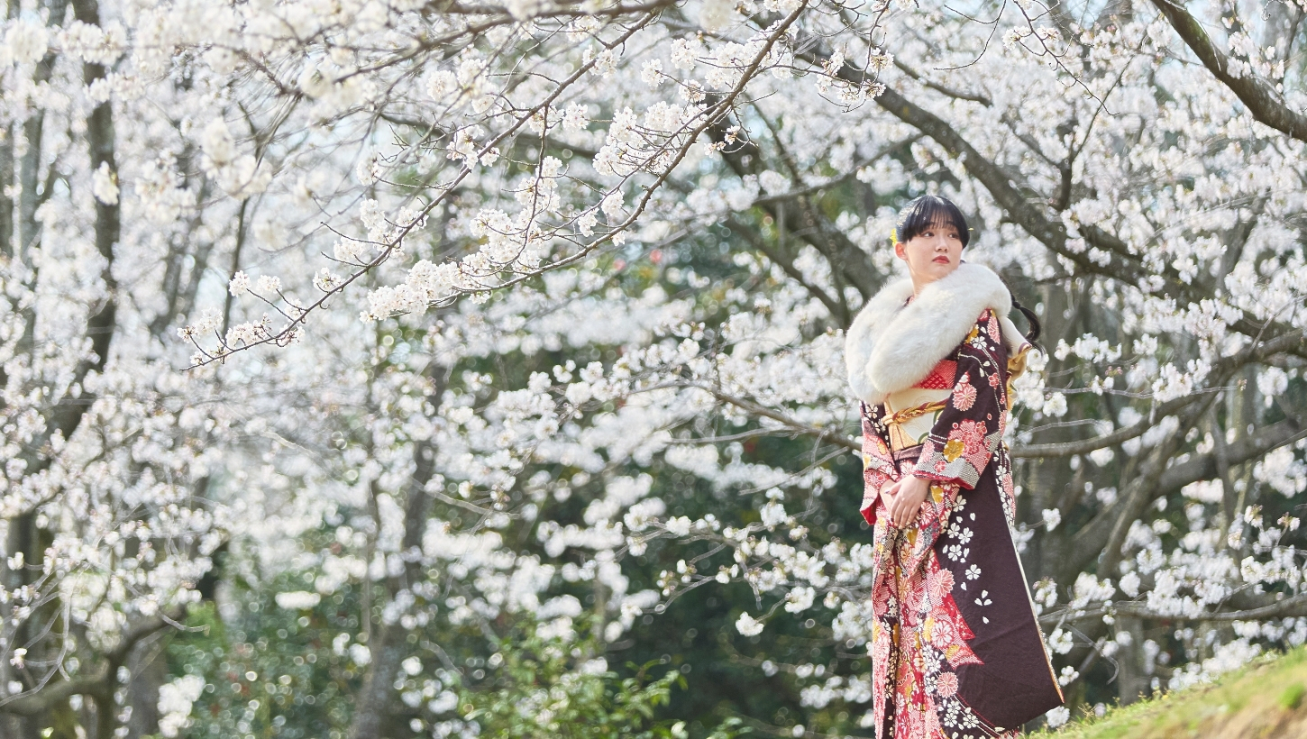 桜のロケーション撮影